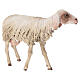 Standing sheep statue 30 cm, nativity Tripi s3