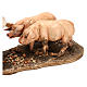 Hirte mit Schweinen, für 13 cm Krippe von Angela Tripi, Terrakotta s3