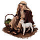 Announcing shepherd sleeping 30 cm, Tripi s3