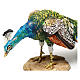 Nativity scene peacock, 18 cm by Angela Tripi s2