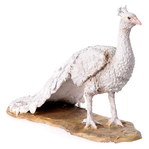 Paw albinos 18 cm, Angela Tripi 3