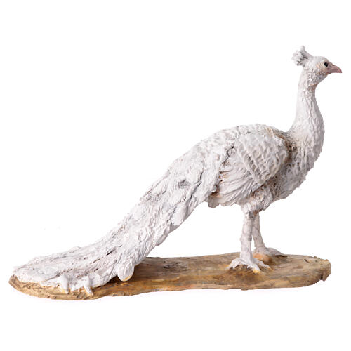 Paw albinos 18 cm, Angela Tripi 4