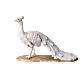 Paw albinos 18 cm, Angela Tripi s1