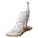 Paw albinos 18 cm, Angela Tripi s5