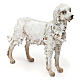 Weisser Hund für 30cm Krippe Angela Tripi s3