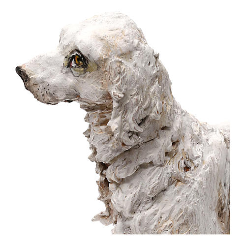 Cão para presépio Angela Tripi com figuras de 30 cm de altura média 5
