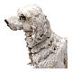 Cão para presépio Angela Tripi com figuras de 30 cm de altura média s5