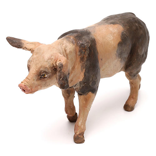Maiale 18 cm presepe Tripi 2