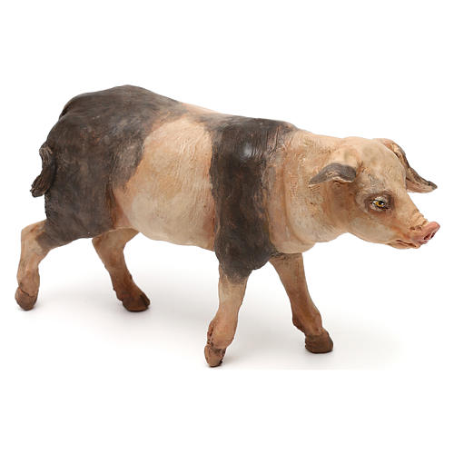 Maiale 18 cm presepe Tripi 3