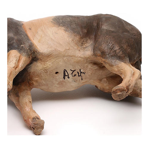 Porco para presépio Angela Tripi com figuras de 18 cm de altura média 5