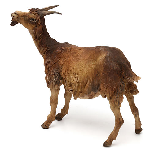 Chèvre marron 30 cm crèche Tripi 3