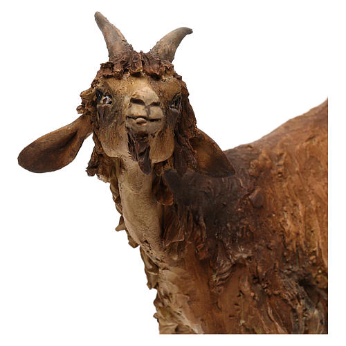 Small Goat, 30 cm Angela Tripi 2