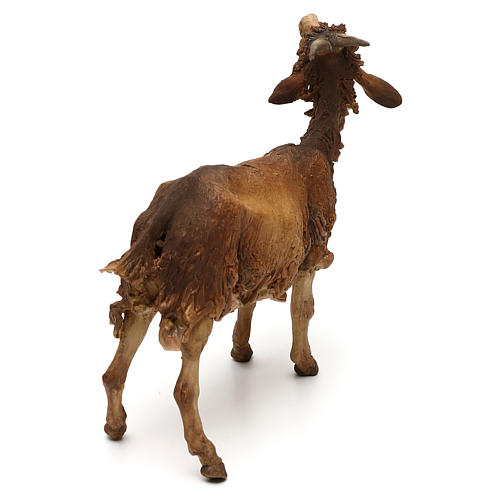Small Goat, 30 cm Angela Tripi 5