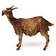 Small Goat, 30 cm Angela Tripi s1