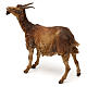 Small Goat, 30 cm Angela Tripi s3