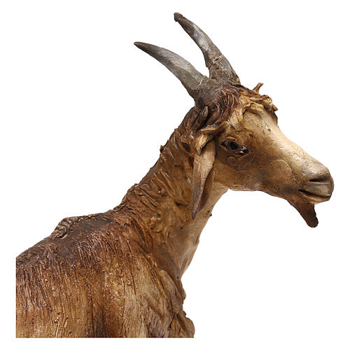 Capra per presepe da 30 cm Angela Tripi 2