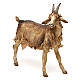 Capra per presepe da 30 cm Angela Tripi s3
