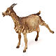 Capra per presepe da 30 cm Angela Tripi s4