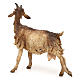 Capra per presepe da 30 cm Angela Tripi s5