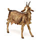 Goat, for 30 cm Nativity Angela Tripi s3