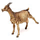 Goat, for 30 cm Nativity Angela Tripi s4