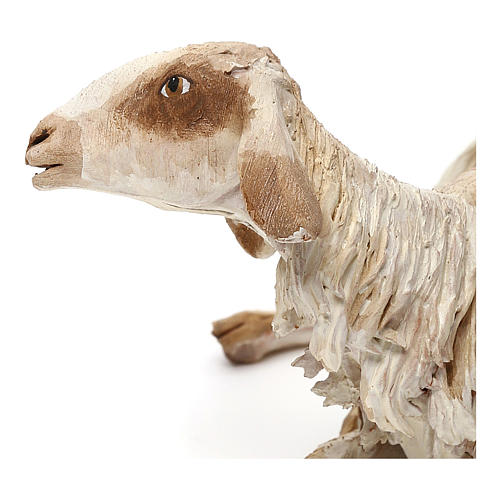 Schaf sitzend 30cm Krippe Angela Tripi 2