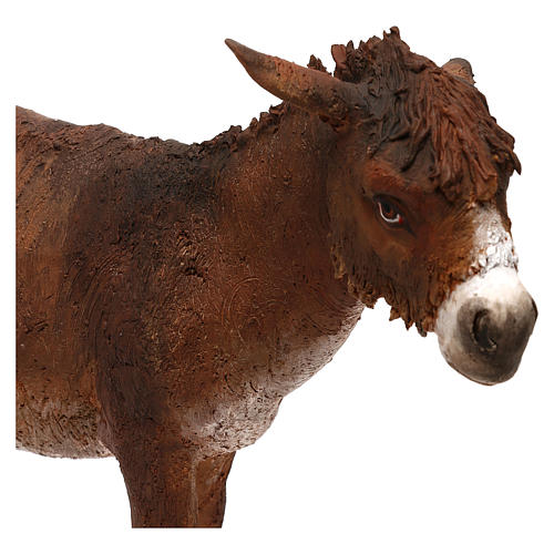 Burro 30 cm Angela Tripi 2
