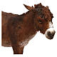 Burro 30 cm Angela Tripi s2