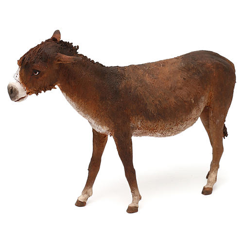 Asino 30 cm Angela Tripi 3