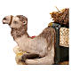 Benino, o pastor dormindo, com camelo para Presépio Angela Tripi com figuras de altura média 18 cm s4