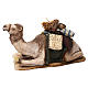 Benino, o pastor dormindo, com camelo para Presépio Angela Tripi com figuras de altura média 18 cm s6
