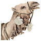 Magi on camel, Angela Tripi 30 cm s9