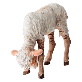 Lamm für 30cm Krippe Angela Tripi