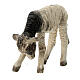 Lamb, 30 cm Angela Tripi Nativity Scene figurine s2