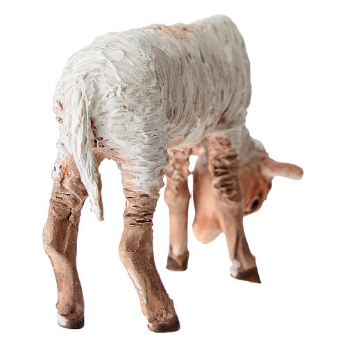 Agneau crèche Tripi 30 cm 4
