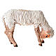 Agneau crèche Tripi 30 cm s3