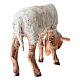 Agneau crèche Tripi 30 cm s4