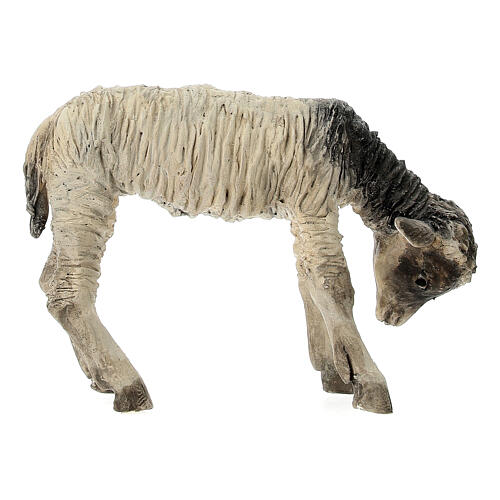 Lamb, 30 cm Angela Tripi creation 4
