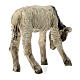 Lamb, 30 cm Angela Tripi creation s5