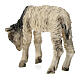 Lamb, 30 cm Angela Tripi creation s6