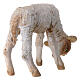 Lamb, 30 cm Angela Tripi creation s5