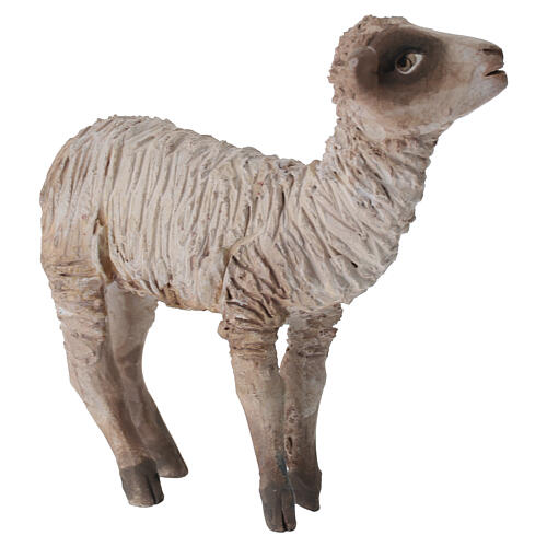 Owca patrząca w górę 13 cm, Tripi 3