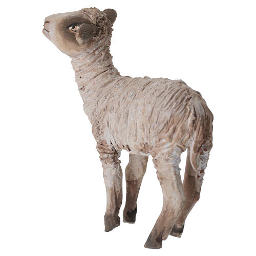 Owca patrząca w górę 13 cm, Tripi 4