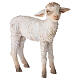 Nativity scene figurine, standing lamb 30 cm by Angela Tripi s2