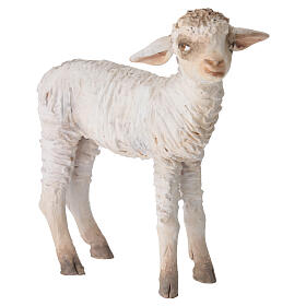 Agnello in piedi 30 cm Angela Tripi