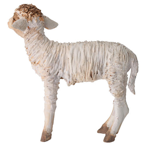 Standing lamb, 30 cm Angela Tripi 4