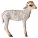 Standing lamb, 30 cm Angela Tripi s1