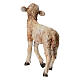 Nativity scene figurine, Standing sheep by Angela Tripi 30 cm s6