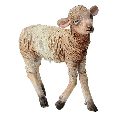 Standing lamb 30 cm for Angela Tripi nativity 2