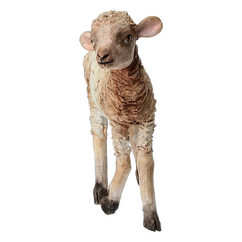 Standing lamb 30 cm for Angela Tripi nativity 3